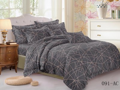 Постельное белье Cleo полисатин "Art Color" евро 200*220 см серое Постельное белье Cleo полисатин "Art Color" евро 200*220 см серое